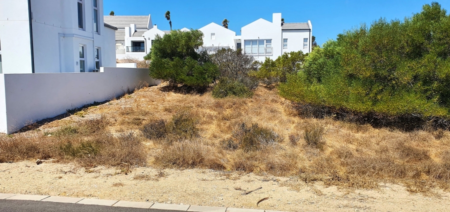 0 Bedroom Property for Sale in Shelley Point Western Cape